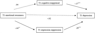 Emotion regulation as a mediator on the relationship between emotional awareness and depression in elementary school students